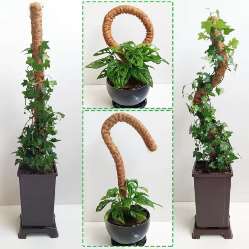 Tuteur en Mousse Pliable avec Extension pour Plantes Grimpantes