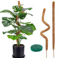 Tuteur en Mousse Pliable avec Extension pour Plantes Grimpantes