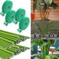 Attache Auto-agrippante Réglable en Nylon Réutilisable pour Plantes - 100 PÇs