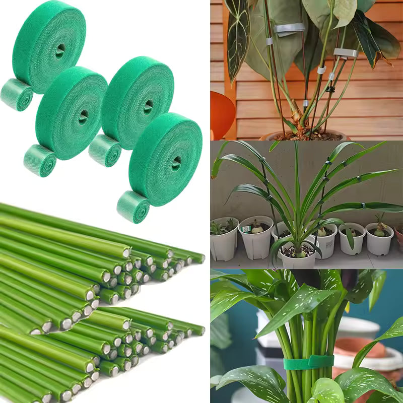 Attache Auto-agrippante Réglable en Nylon Réutilisable pour Plantes - 100 PÇs
