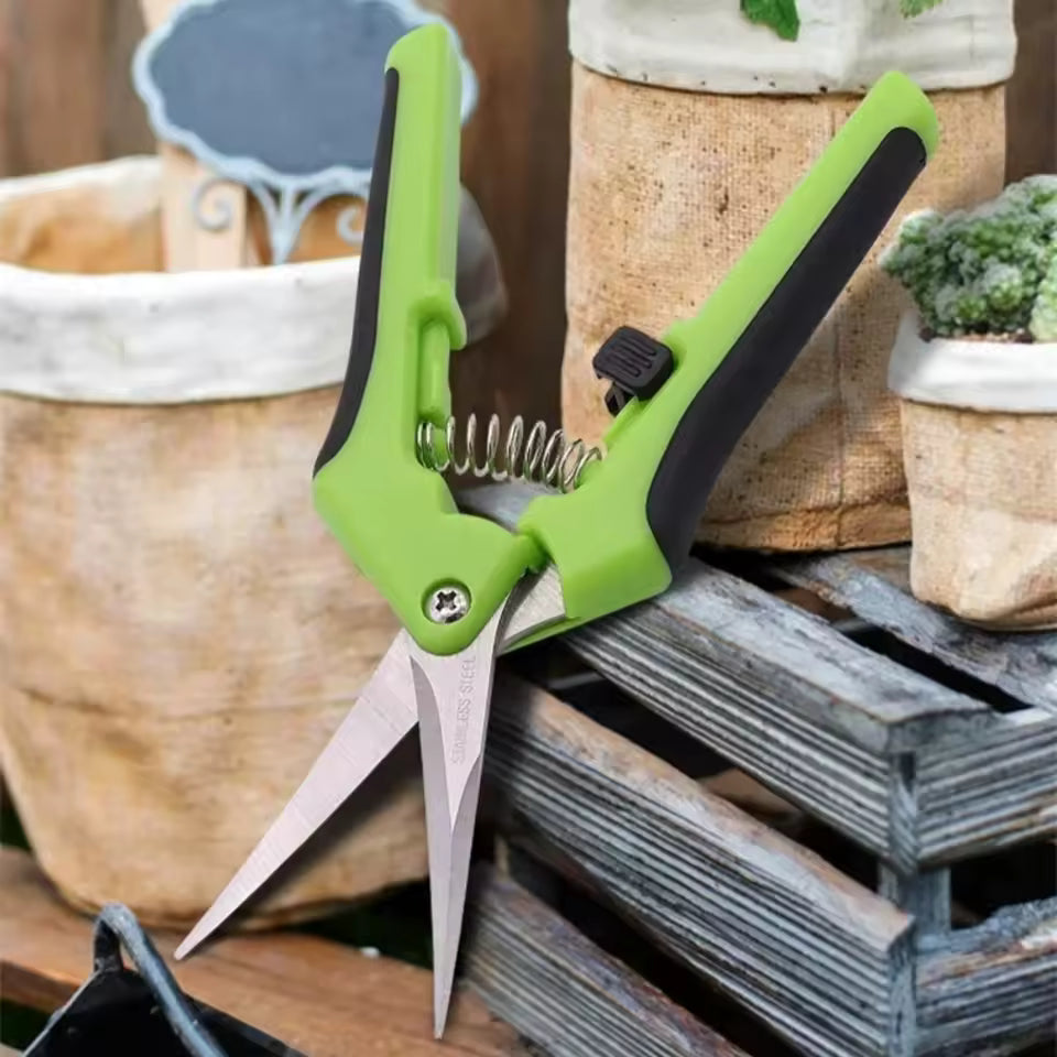 Sécateur de Jardin en Acier Inoxydable – Outil Pratique pour la Taille des Branches, Fleurs et Plantes d'Intérieur