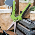 Sécateur de Jardin en Acier Inoxydable – Outil Pratique pour la Taille des Branches, Fleurs et Plantes d'Intérieur