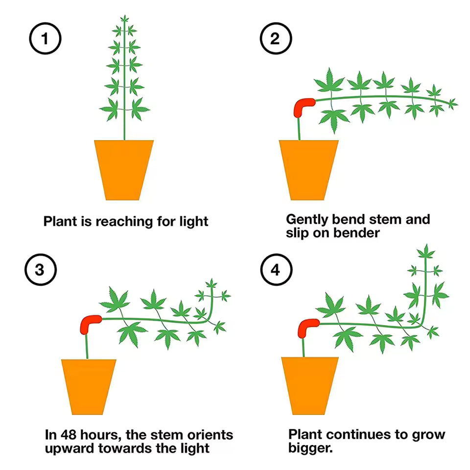 Clips de Palissage à Faible Stress en PVC – Kit de 50 Pinces de Cintrage à 90° pour Plantes