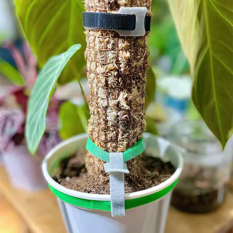 Attache Auto-agrippante Réglable en Nylon Réutilisable pour Plantes - 100 PÇs