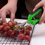 Sécateur de Jardin en Acier Inoxydable – Outil Pratique pour la Taille des Branches, Fleurs et Plantes d'Intérieur