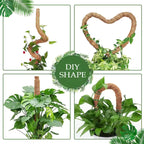 Tuteur en Mousse Pliable avec Extension pour Plantes Grimpantes