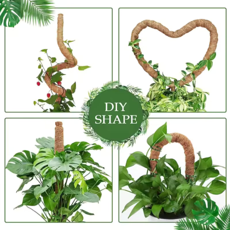 Tuteur en Mousse Pliable avec Extension pour Plantes Grimpantes