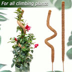 Tuteur en Mousse Pliable avec Extension pour Plantes Grimpantes