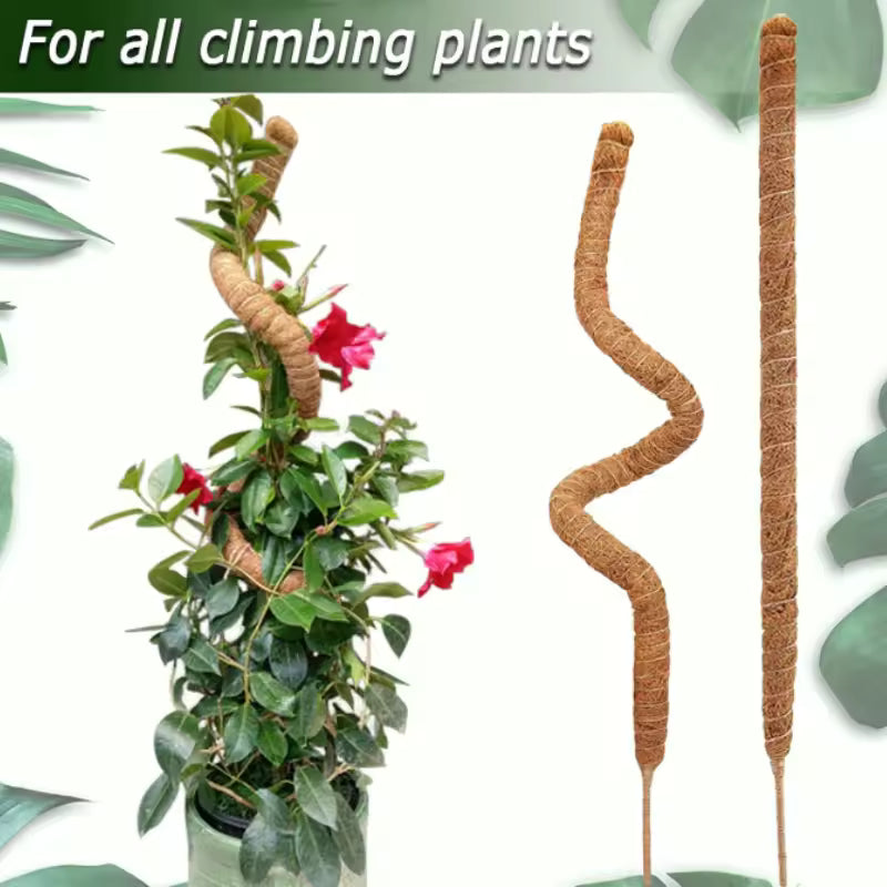 Tuteur en Mousse Pliable avec Extension pour Plantes Grimpantes