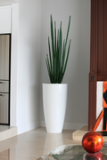 Sansevière XL — Collection Biarritz, 160 cm, blanc brillant