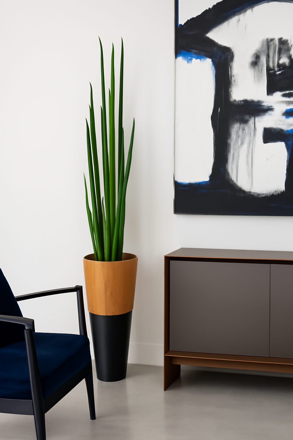 Sansevière 160 cm · Édition Bordeaux, noir