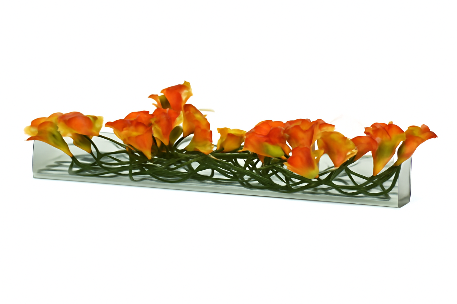 Arum Blanc 122 cm · Édition Antibes