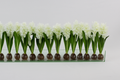 Composition Jacinthes 122 cm | Signature Périgord, blanc