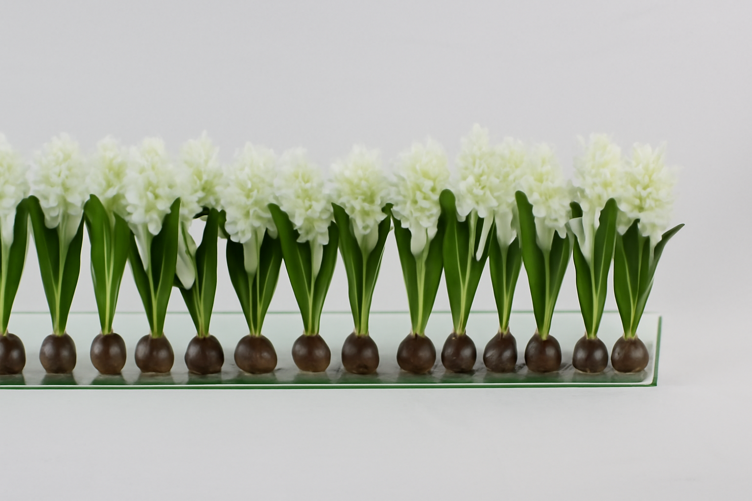 Composition Jacinthes 122 cm | Signature Périgord, blanc