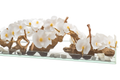 Orchidée Phalaenopsis — Collection Deauville, 122 cm, blanc