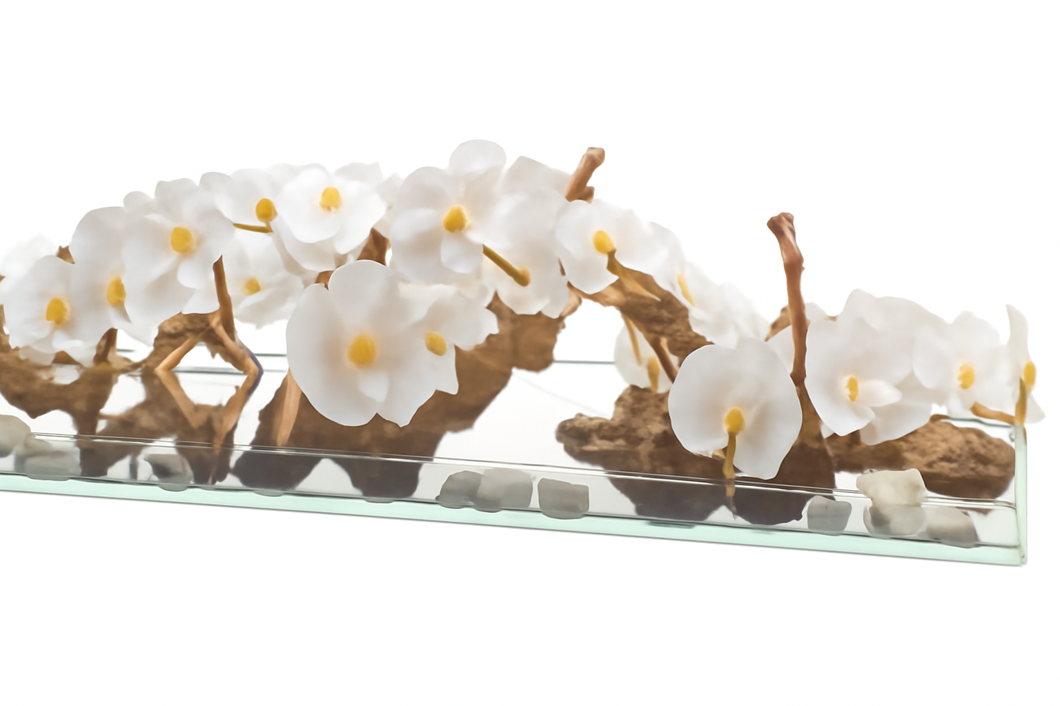 Orchidée Phalaenopsis — Collection Deauville, 122 cm, blanc