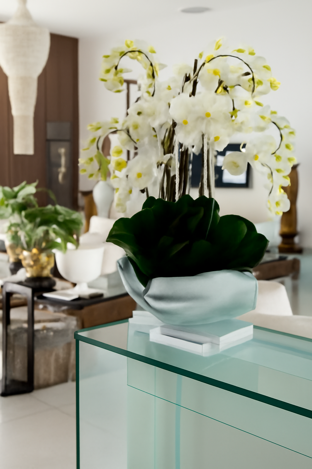 Orchidée Phalaenopsis | Signature Camargue, blanc