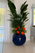 Oiseau de Paradis · Édition Riviera, bleu