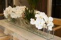 Orchidée Vanda 91 cm · Édition Loire, blanc