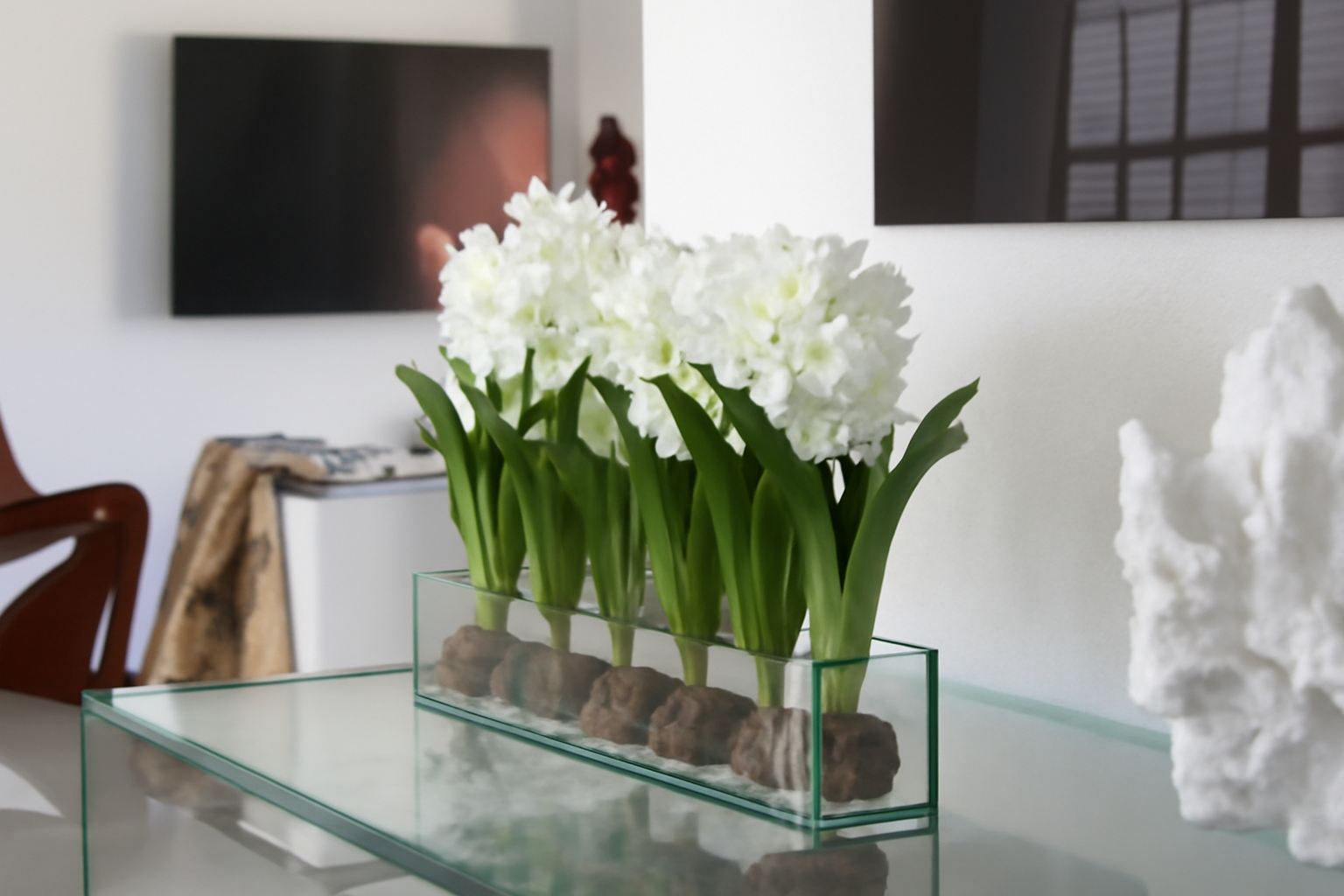 Composition Jacinthes 91 cm | Signature Menton, blanc