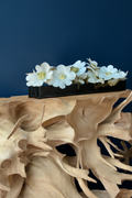 Orchidée Phalaenopsis 91 cm · Édition Anjou, blanc