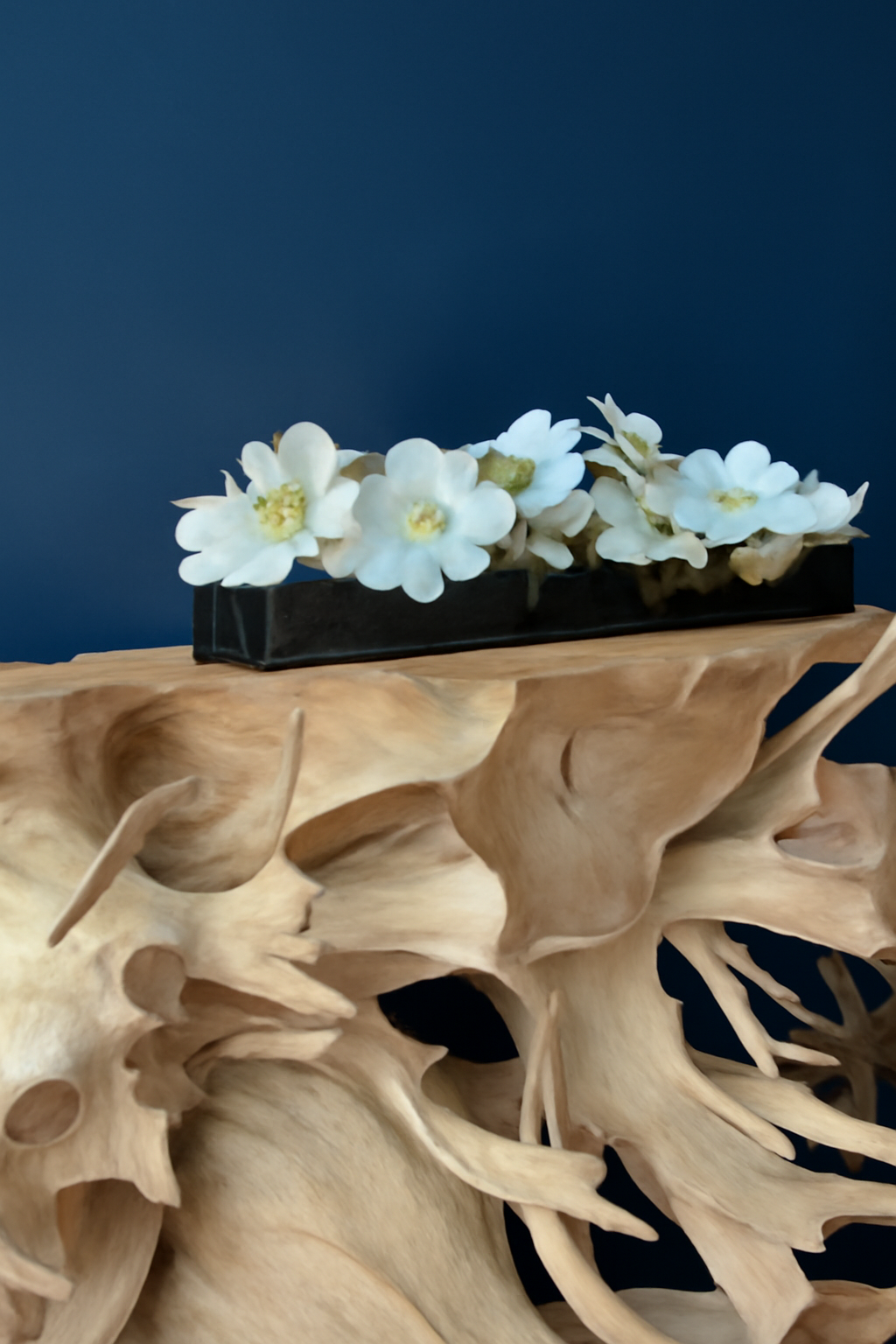 Orchidée Phalaenopsis 91 cm · Édition Anjou, blanc