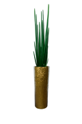 Sansevière Grand 71 cm | Signature Nantes
