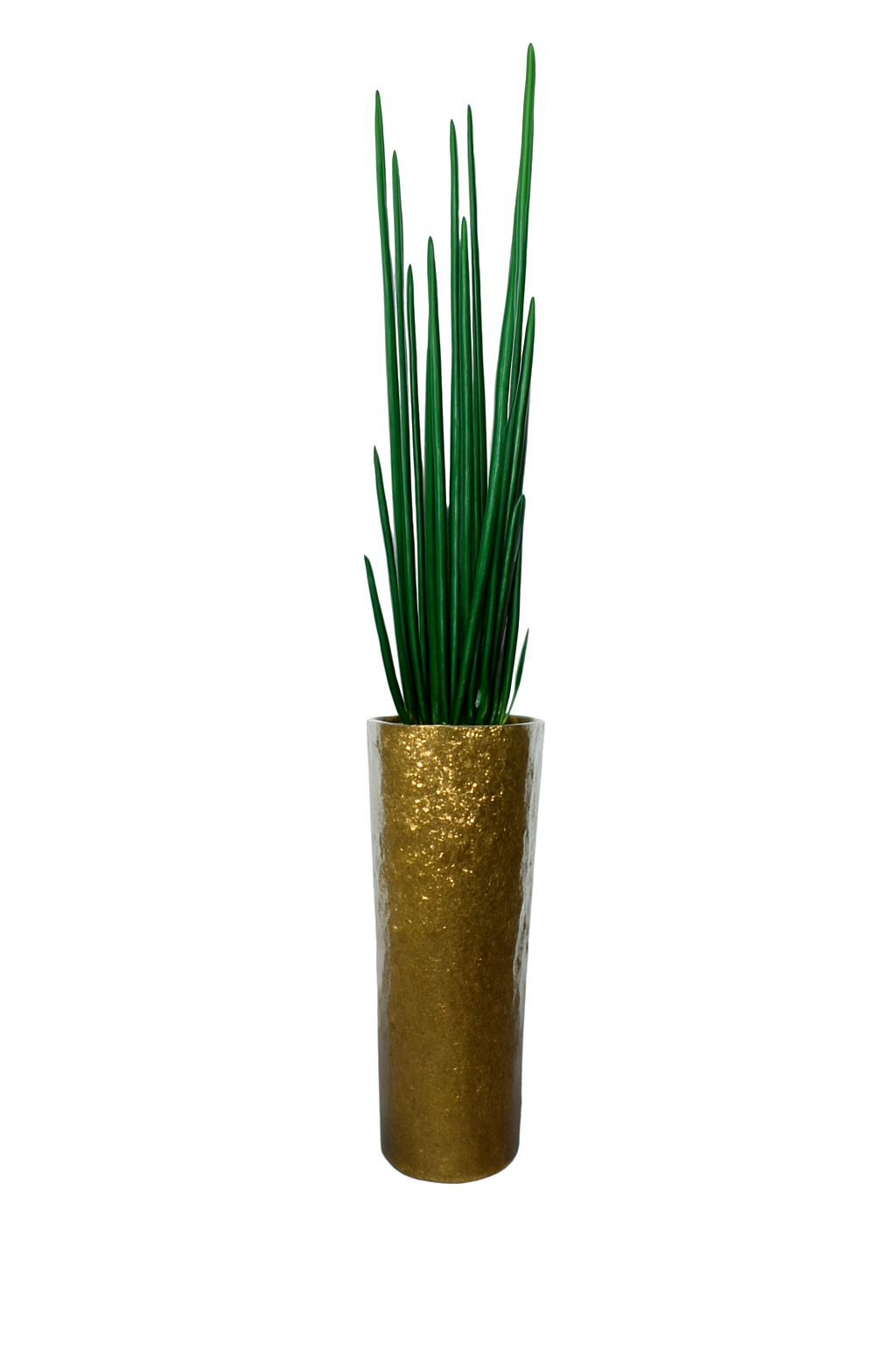 Sansevière Grand 71 cm | Signature Nantes