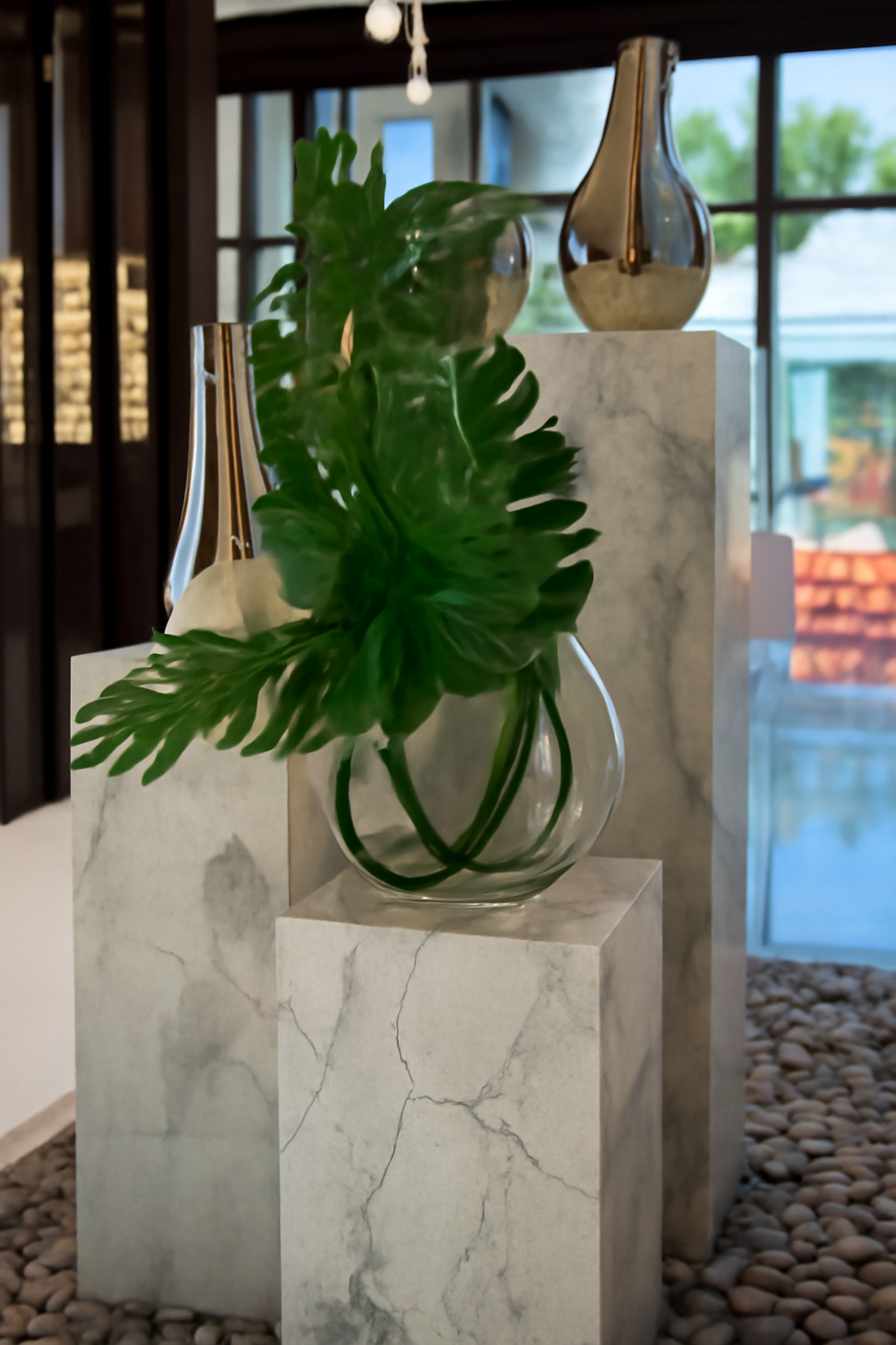 Plante Tropicale | Signature Provence