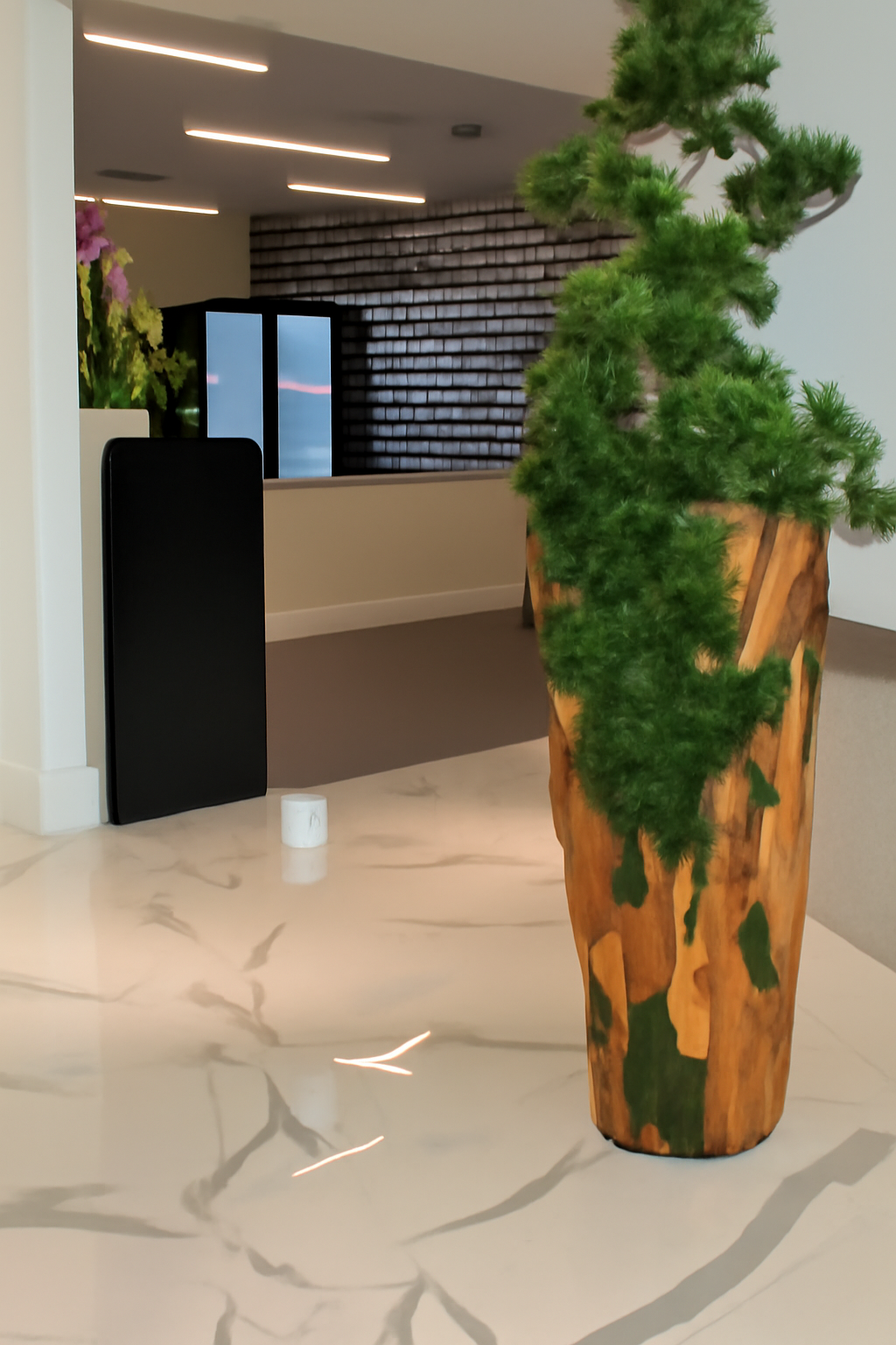 Bonsaï Grand — Collection Cannes, teck