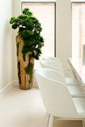 Bonsaï Grand | Signature Anjou, teck