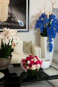 Orchidée Phalaenopsis — Collection Bourgogne, blanc