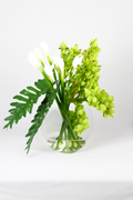 Plante Tropicale · Édition Biarritz, vert