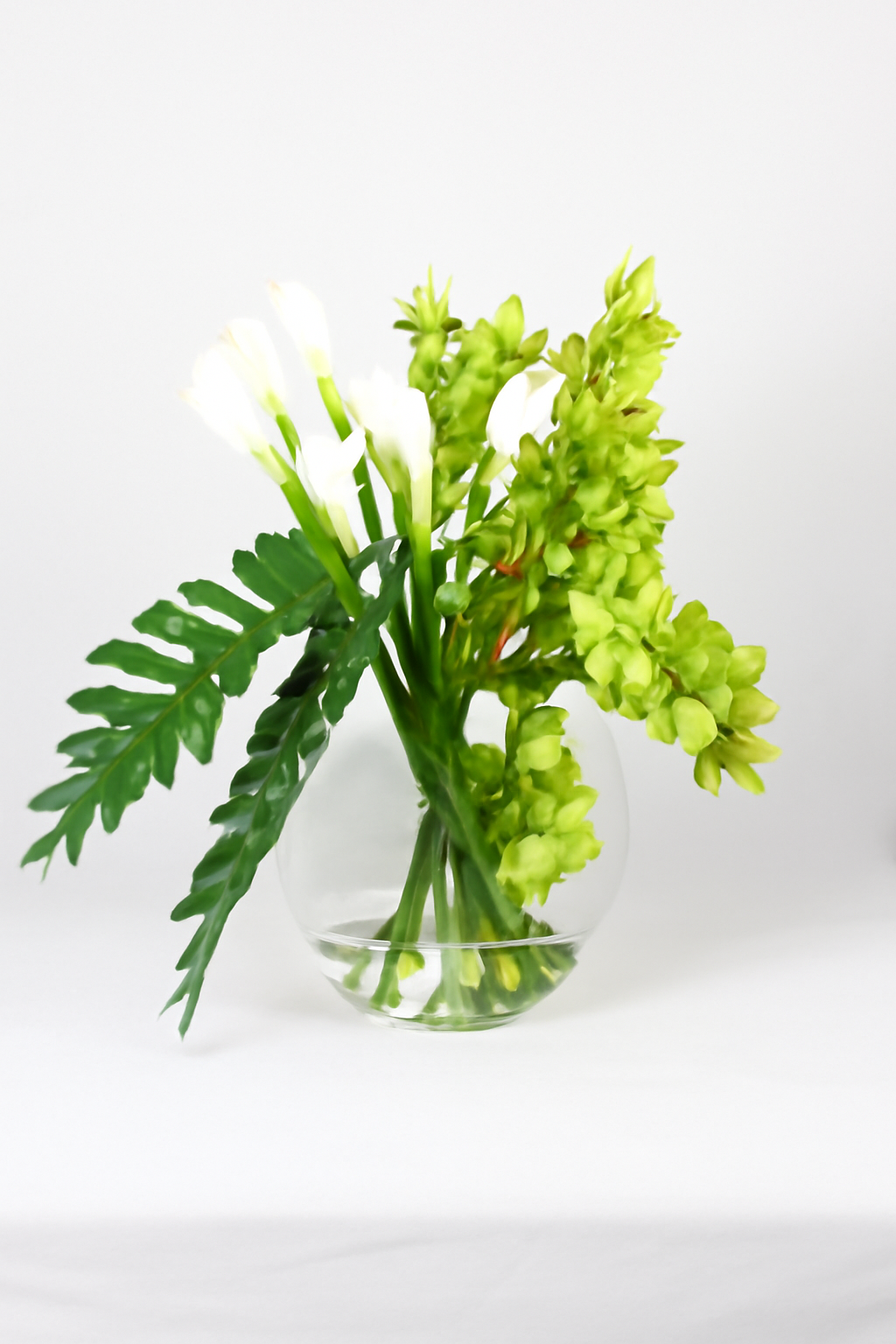 Plante Tropicale · Édition Biarritz, vert