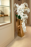 Orchidée Phalaenopsis · Édition Riviera, doré