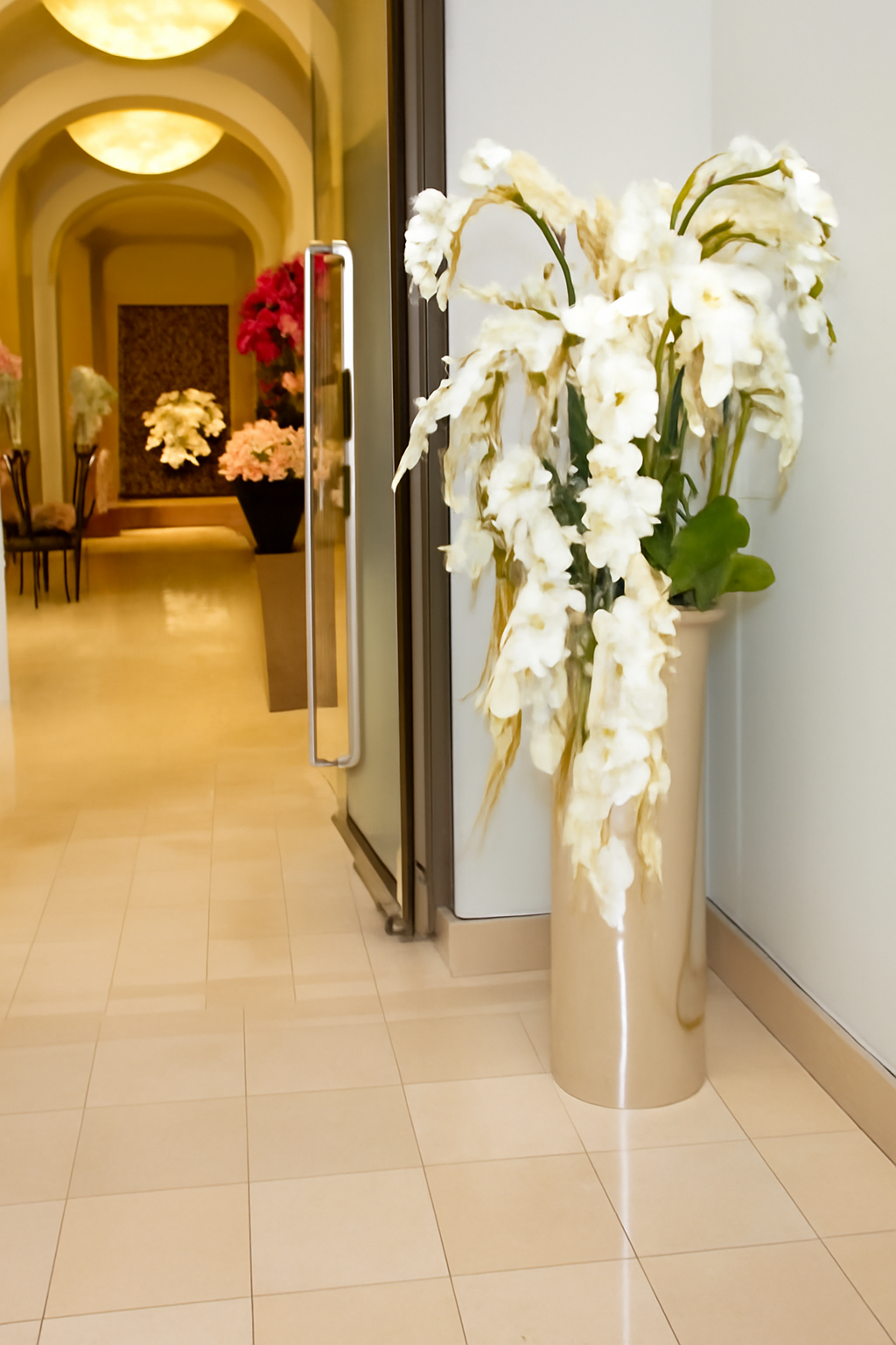 Orchidée Phalaenopsis · Édition Biarritz