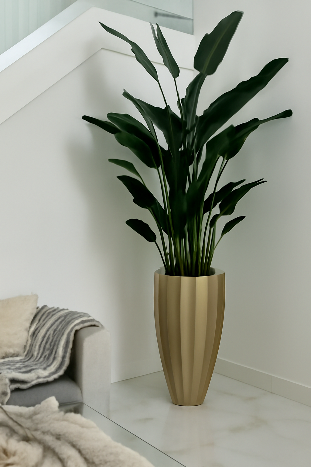 Oiseau de Paradis — Collection Cannes