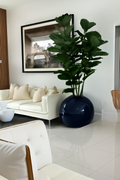 Figuier Lyre | Signature Bourgogne, noir