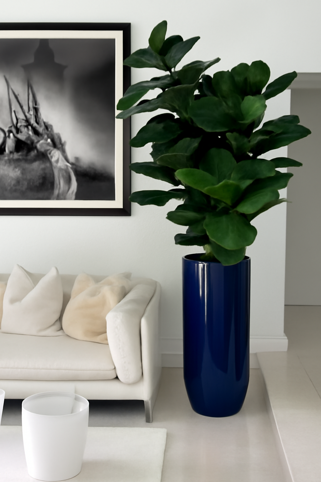Figuier Lyre | Signature Riviera, bleu brillant