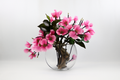 Composition Magnolia | Signature Anjou, rose