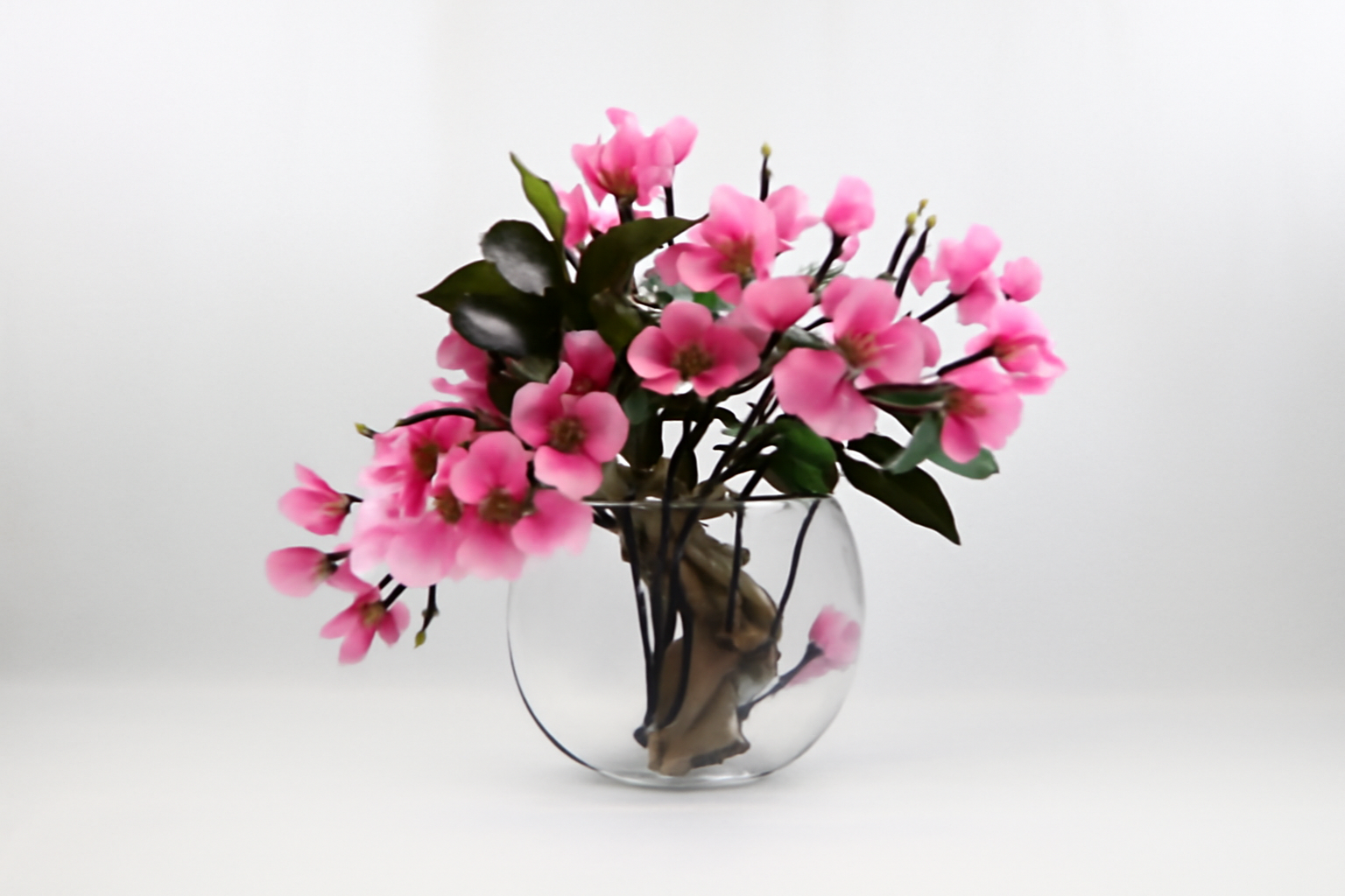 Composition Magnolia | Signature Anjou, rose
