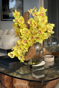 Orchidée Cymbidium — Collection Deauville, jaune