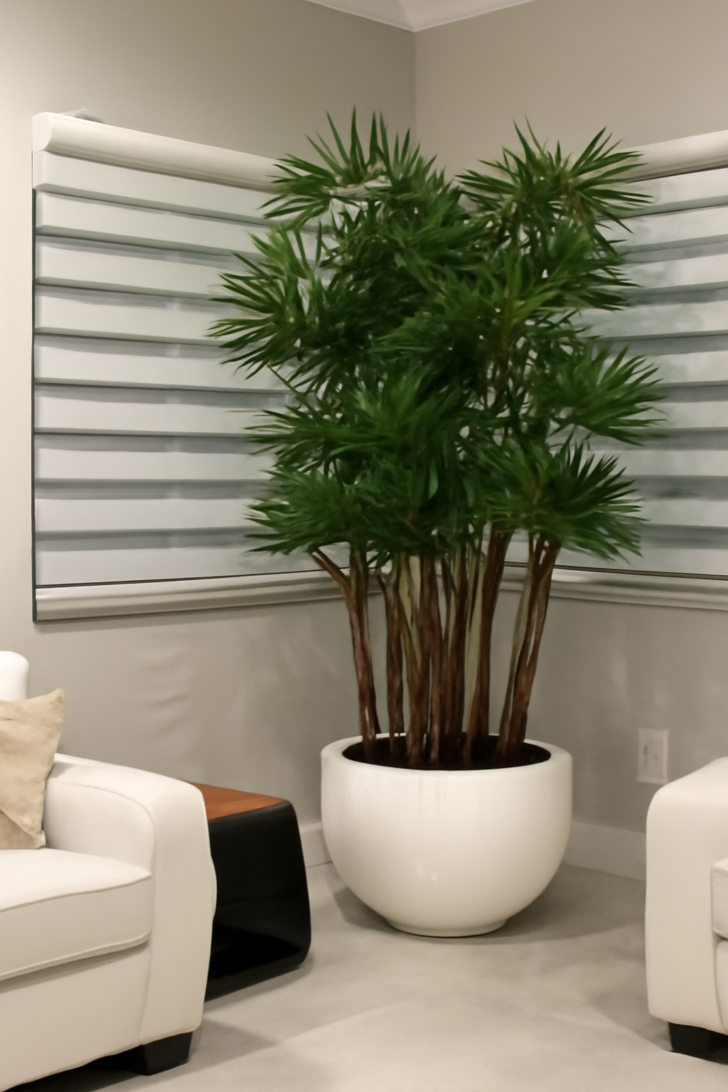 Palmier d'Intérieur — Collection Antibes, blanc
