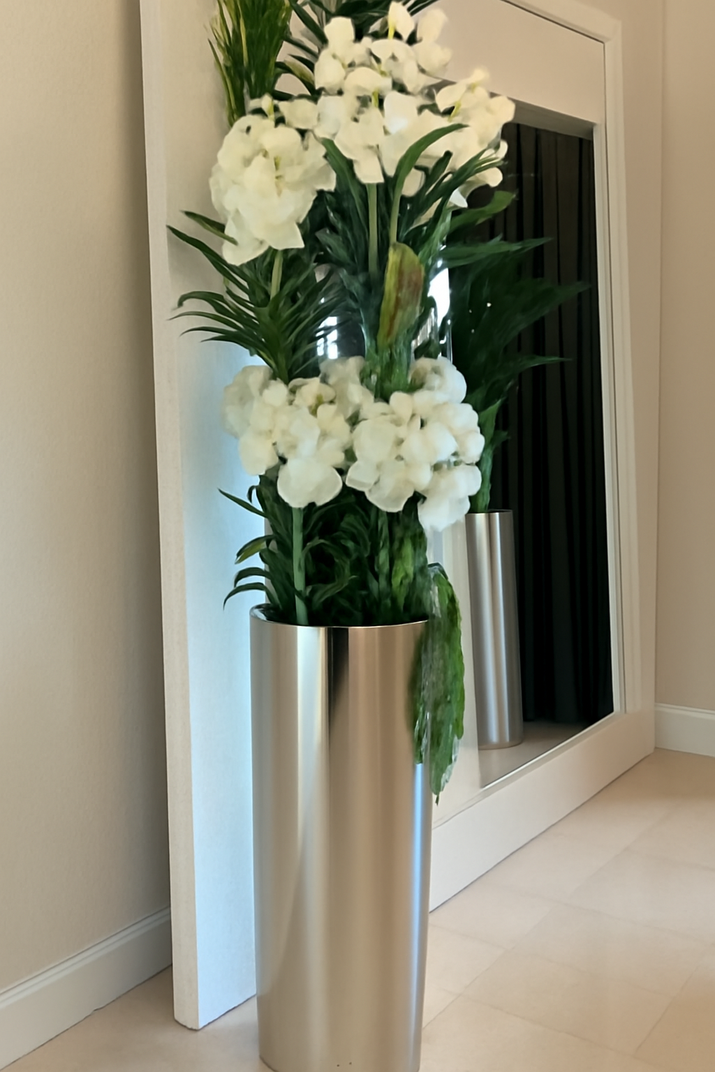 Orchidée Vanda | Signature Anjou, blanc