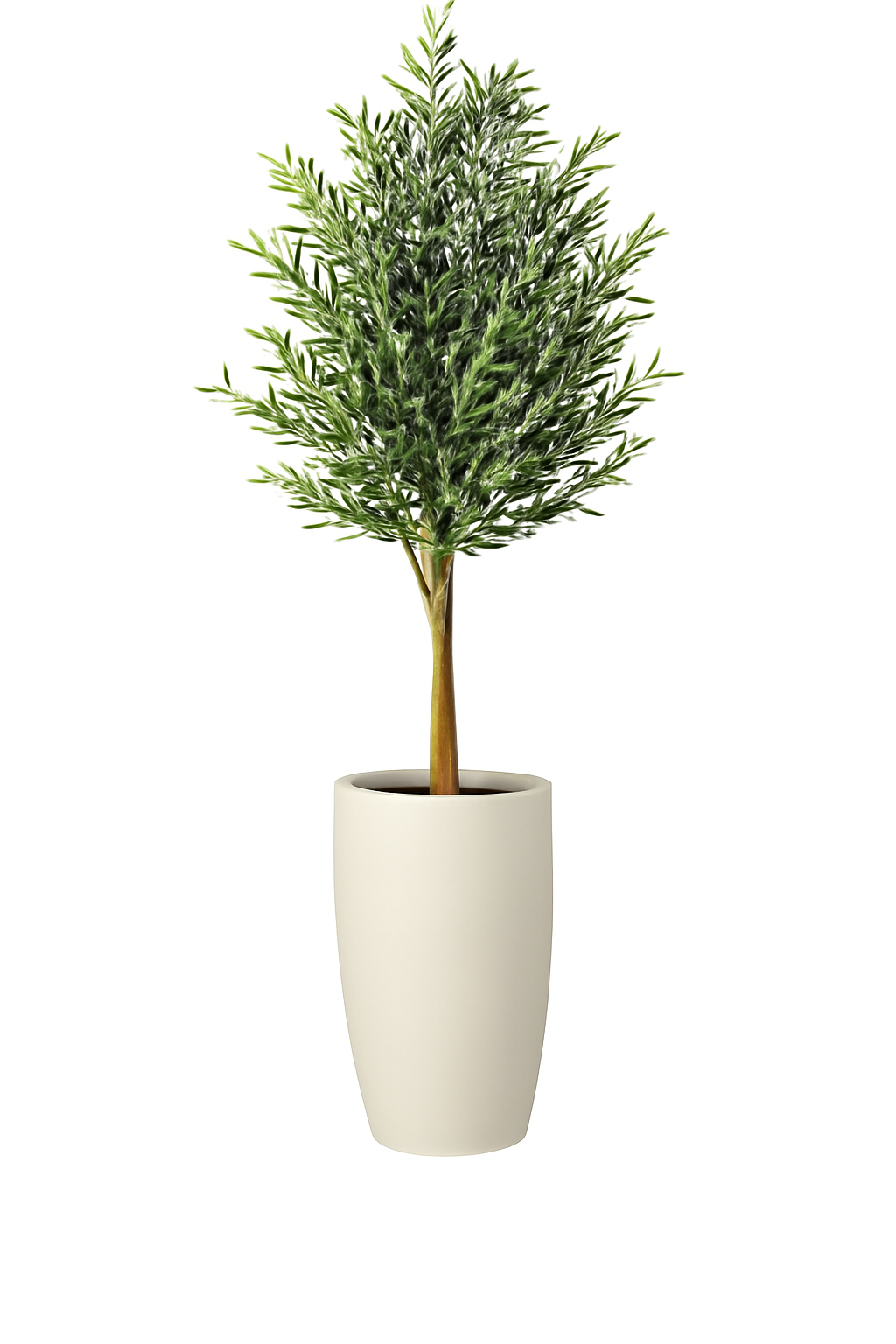 Olivier | Signature Riviera, beige mat