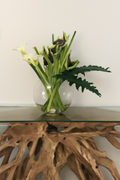Plante Tropicale | Signature Deauville, vert