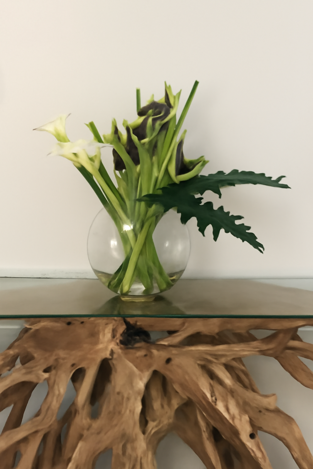 Plante Tropicale | Signature Deauville, vert