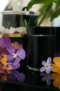 Bougie Parfumée 1628 ml · Édition Bordeaux