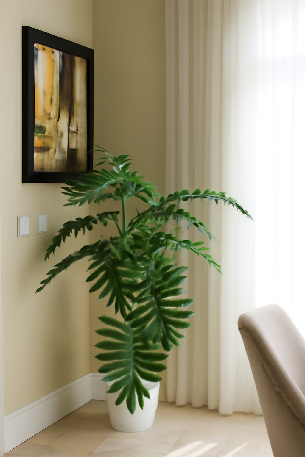 Plante Tropicale | Signature Vosges
